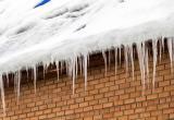 Государственная жилищная инспекция Челябинской области предлагает всем жителям региона выйти на общественную борьбу с ледяными навесами