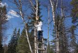 Пернатые обитатели саткинского национального парка отметили новоселье 