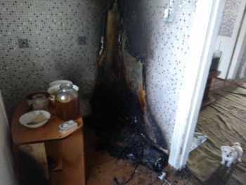 В Бакале горела жилая квартира: едва не погиб щенок  