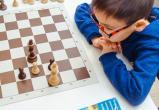«Дети, садитесь за… доски»: школы Саткинского района включат шахматы в учебный план 