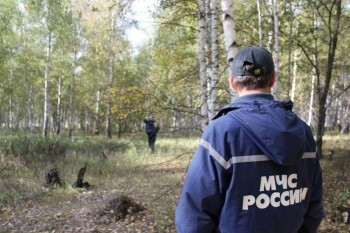 «Пойти в лес и не заблудиться там»: МЧС напоминает жителям Саткинского района о важных правилах 