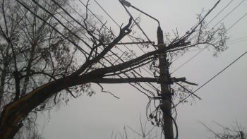 «Ветер подул – свет погас»: стихия оставила без электричества жителей Саткинского района  
