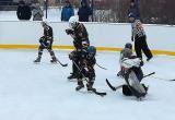«Тигры» одержали первую победу в областном Первенстве по хоккею 