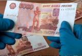 «Изъято 25 тысяч рублей»: в Саткинском районе задержаны подозреваемые в сбыте фальшивых денег 