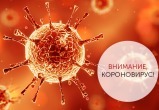 Вниманию жителей Сатки и Саткинского района! Последние новости о коронавирусе на 19.40 часов 1 апреля