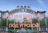 «У саткинцев отбирают Каргинский парк?»: жители города могут отстоять его, подписав петицию