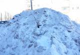«Глазам не поверила!»: саткинцы утверждают, что в ходе уборки снега были поломаны кустарники и деревья  