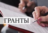 Предприниматели и некоммерческие организации Саткинского района могут получить гранты и субсидии 