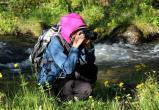 Жители Саткинского района могут принять участие в фотоконкурсе «Удивительный мир природы»
