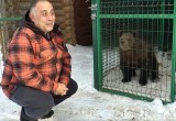 В Челябинской области планируют создать реабилитационный центр для медведей 