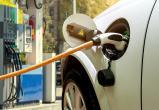 «Мотивация для водителей»: саткинцев, владеющих электромобилям, могут освободить от транспортного налога 