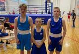 Саткинские боксёры успешно выступили на областных соревнованиях по боксу