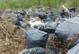 В Бакале образовалась огромная свалка мусора: рассказываем, где она, и когда её ликвидируют  