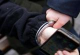 Златоустовские полицейские вернули украденный телефон жителю Бакала