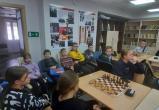 В шахматном клубе «Вертикаль» (Сатка) прошла 41-я сессия региональной гроссмейстерской школы ФШР