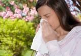 Как справиться с аллергией, советует заведующая саткинским аптечным пунктом 