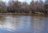 «Присмотрелись: голова в воде!»: в реке Миасс обнаружены новые обитатели  