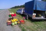 Роспотребнадзор предостерегает саткинцев от покупки овощей и фруктов возле обочин дорог 