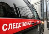   На жительницу Саткинского района, чей ребёнок был найден мёртвым, завели уголовное дело 