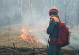 «Берегите лес от пожара!»: жителей Саткинского района просят соблюдать меры предосторожности 