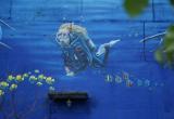 «Вместо унылой серости»: в Западном микрорайоне Сатке появился огромный… аквариум 