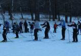 «На старт… Внимание… Лыжню!»: спортсмены Саткинского района встретились на бакальской базе 