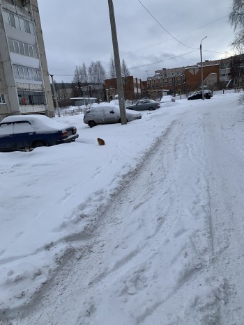 Жители Западного района Сатки жалуются на неочищенные от снега улицы и дворы 