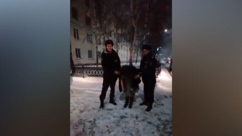 Сотрудники ГИБДД в Сатке задержали пьяную автоледи