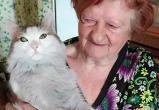 «Вовремя разбудил хозяйку»: в Челябинской области кот Лёша спас женщину во время пожара 