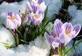 «Скоро согреемся!»: синоптики прогнозируют раннюю весну  в Челябинской области