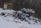 «Вы только посмотрите на наши контейнеры!»: бакальцы жалуются на несвоевременный вывоз мусора 