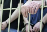 «Привязали к дереву и избили»: в Челябинской области мужчины предстали перед судом за издевательства над собакой 
