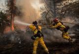  «Берегите природные богатства!»: в лесах Саткинского района начался пожароопасный сезон  