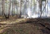 Пожар в Ильменском заповеднике, в борьбе с которым принимали участие огнеборцы из Сатки, ликвидирован 
