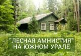 Саткинцам рассказали о промежуточных итогах «лесной амнистии» на Южном Урале