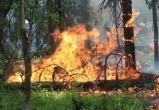 За майские праздники в Челябинской области было ликвидировано 18 лесных пожаров