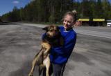 Саткинский центр «Открытое сердце» забрал брошенную собаку, которая жила недалеко от вольера с медведем 