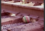 «Тот ещё «эксперимент»: юные саткинцы были замечены за хулиганством на железной дороге 
