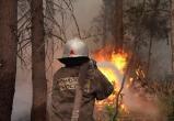 «Уберечь лес от огня»: жителей Саткинского района просят соблюдать правила пожарной безопасности 