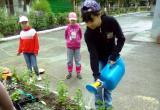 «Леший и много красивых цветов»: как юные жители Саткинского района превратили двор в сказку 