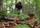 «Не будьте самонадеянными!»: саткинец предостерегает земляков, отправляющихся в лес за грибами 