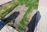 По факту кражи газона в сквере Славы в Сатке будет направлено заявление в полицию 