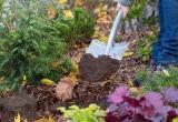 «Готовь почву осенью»:  саткинский магазин «Весёлый дачник» приглашает за полезными покупками 