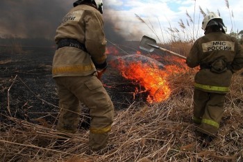 «Не оставайтесь равнодушными!»: жителям Саткинского района напомнили, куда общаться при обнаружении лесного пожара 