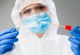 В референс-лаборатории Сатки результаты ПЦР-тестов на коронавирус готовы в течение 48 часов 