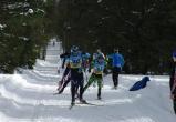 Скоро в Саткинском районе состоится традиционный лыжный марафон «Зюраткуль-2020» 