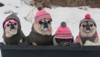 «Одевайтесь теплее!»: в Саткинский район могут прийти аномальные холода 