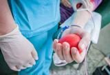 «И доноры по-прежнему очень нужны!»: в новогодние каникулы жители Челябинской области 259 литров крови 