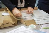 Есть вероятность, что этой осенью на выборах в Госдуму не все саткинцы будут использовать бумажные бюллетени 