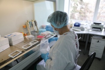 C начала пандемии в Саткинском районе зарегистрировано 2179 случаев заражения COVID-19 